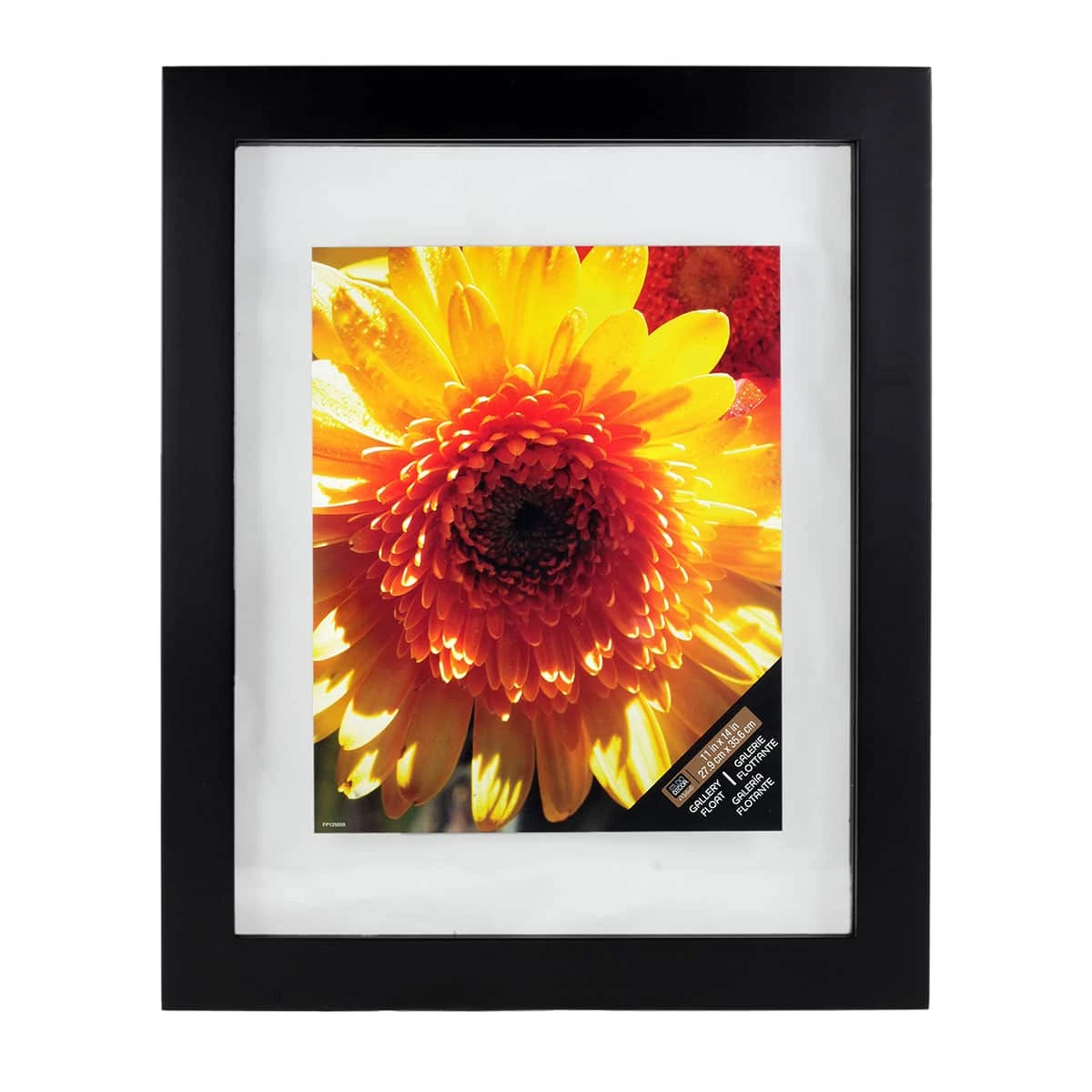 Black 11" X 14" Float Frame, Gallery By Studio Décor®