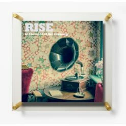 Wexel Art 15'' X 15'' Acrylic Floating Frame For Album Covers With Gold Hardware