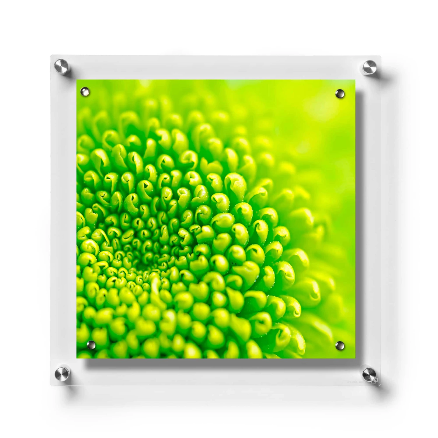 Wexel Art Easy Change Acrylic Floating Frame With Silver Hardware - Image 7