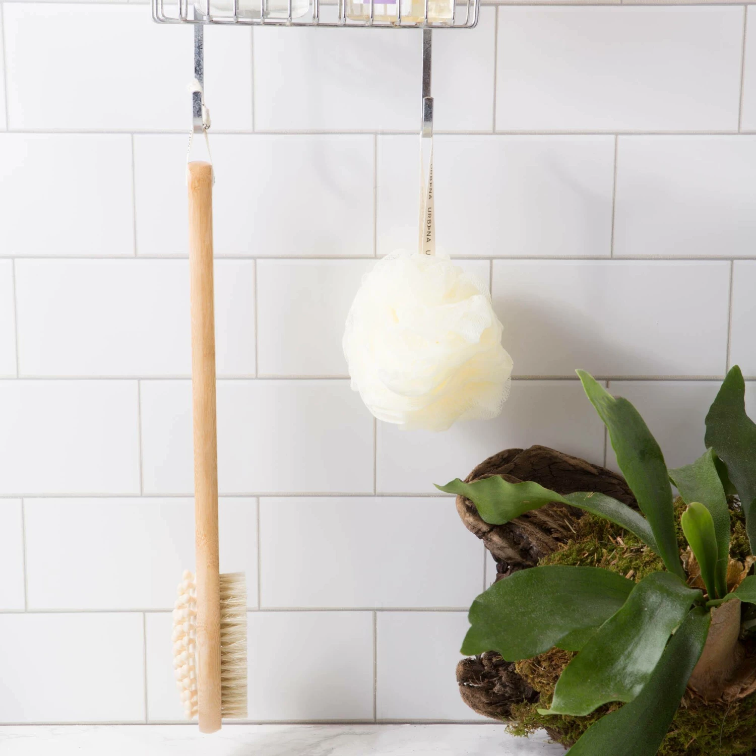 European Soaps Cellulite Brush - Image 2